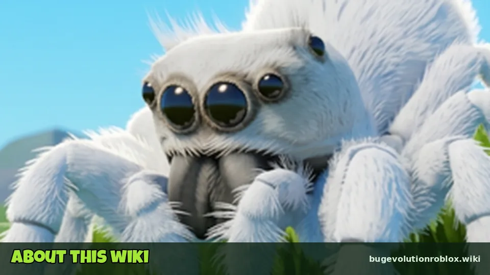 Close-up of the jumping spider face and eyes