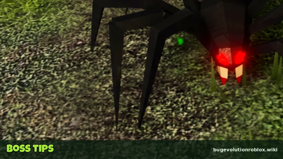Black spider legs in tall grass