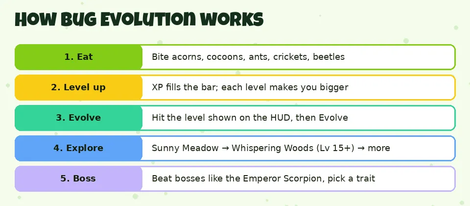 How Bug Evolution works: 1. Eat Bite acorns, cocoons, ants, crickets, beetles; 2. Level up XP fills the bar; each level makes you bigger; 3. Evolve Hit the level shown on the HUD, then Evolve; 4. Explore Sunny Meadow → Whispering Woods (Lv 15+) → more; 5. Boss Beat