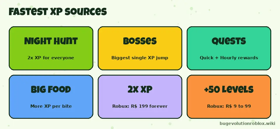Infographic of the fastest XP sources in Bug Evolution: Night Hunt 2x XP, bosses, quests, big food, Double XP pass and +50 Levels