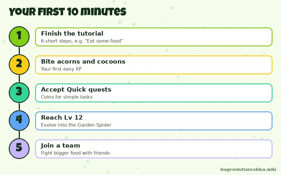 Bug Evolution beginner steps: finish the tutorial, bite acorns and cocoons, accept quick quests, reach level 12, join a team