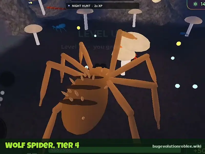 Wolf Spider among giant mushrooms in Bug Evolution