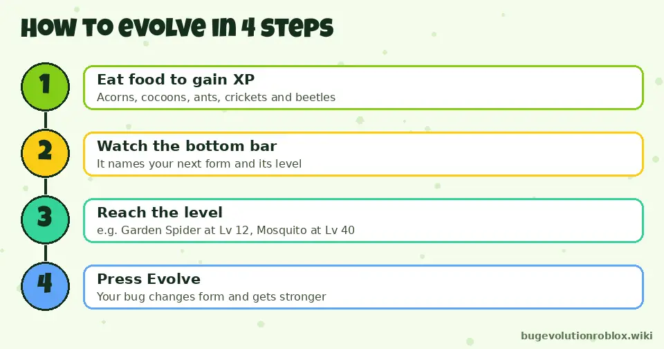 Four steps to evolve in Bug Evolution: eat food, watch the bottom bar, reach the level, press Evolve