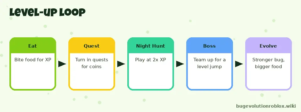 Bug Evolution level-up loop diagram: eat, quest, Night Hunt, boss, evolve