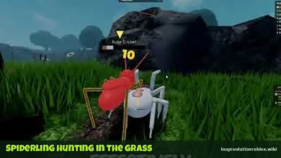Small white spider with a red back hunting in tall grass in Bug Evolution