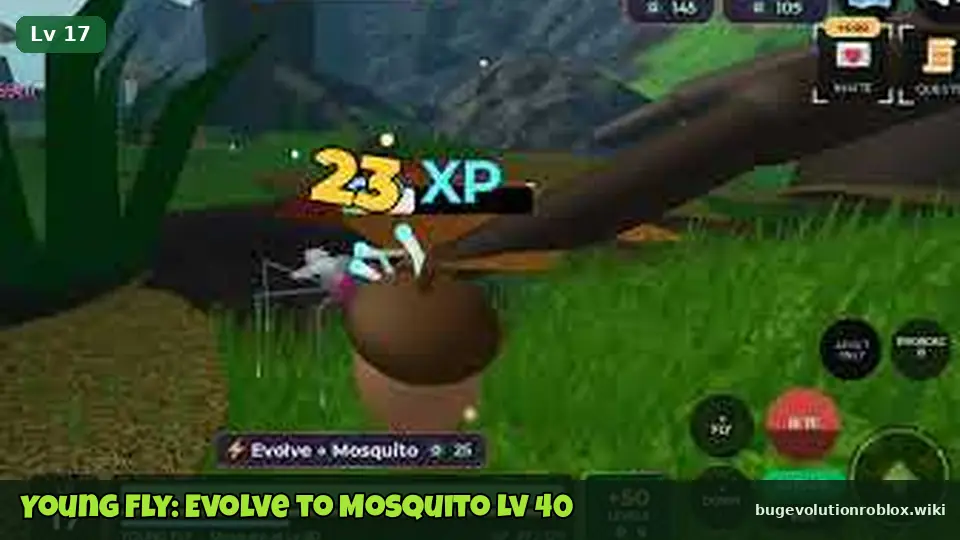 Young Fly at level 17 eating an acorn for 23 XP with the bar showing Evolve to Mosquito at level 40